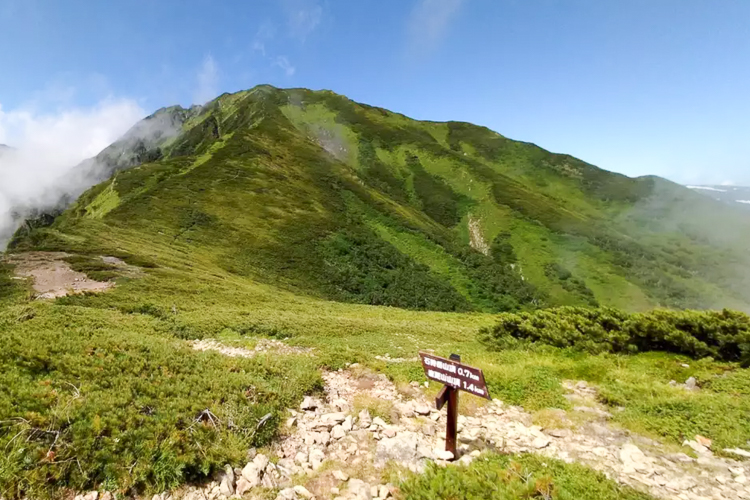 幻の百名山 ニペソツ山と石狩岳 - 画像 (6)