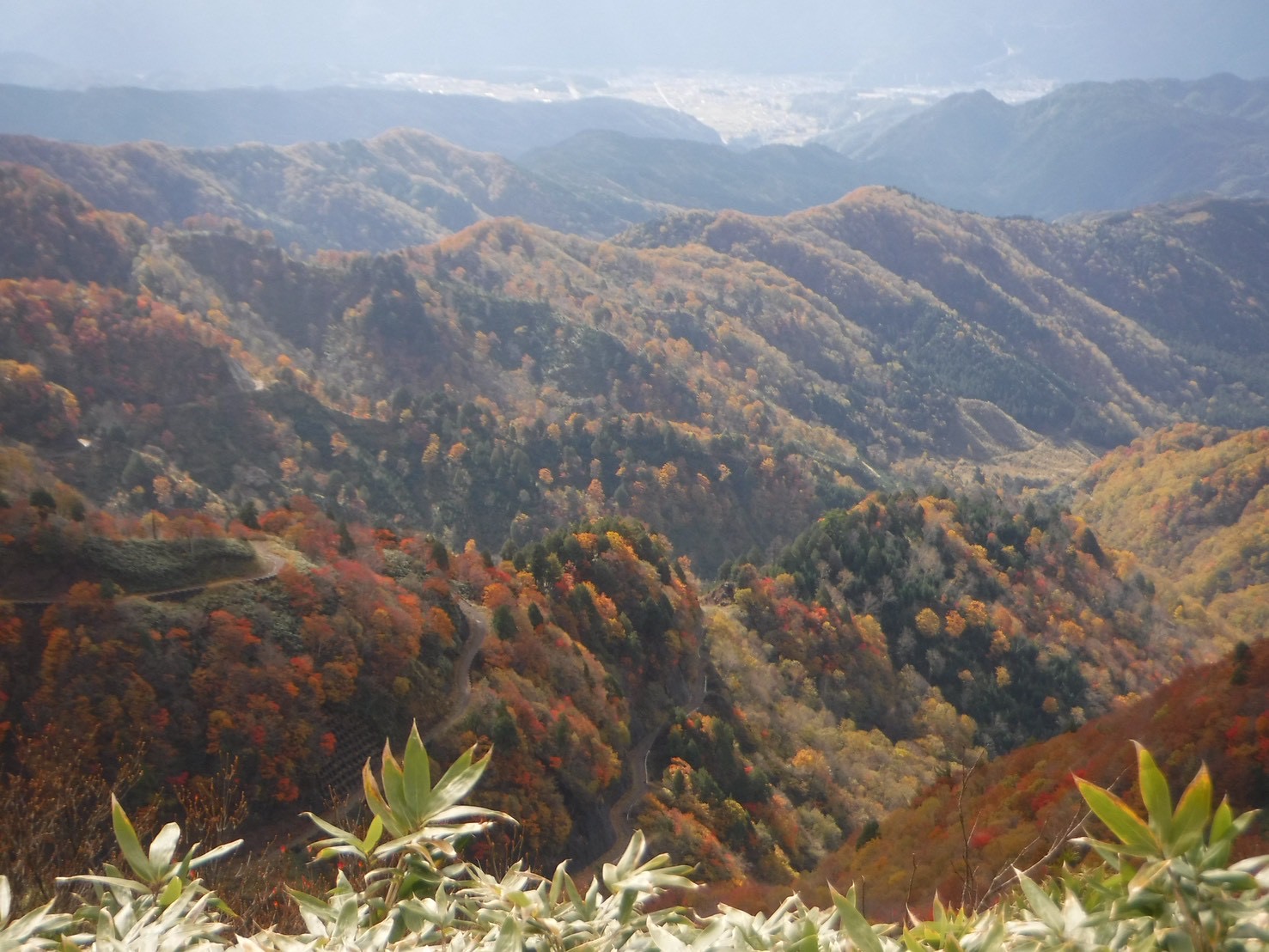 「天空の遊歩道」位山〜川上岳縦走と鷲ヶ岳 - 画像 (6)