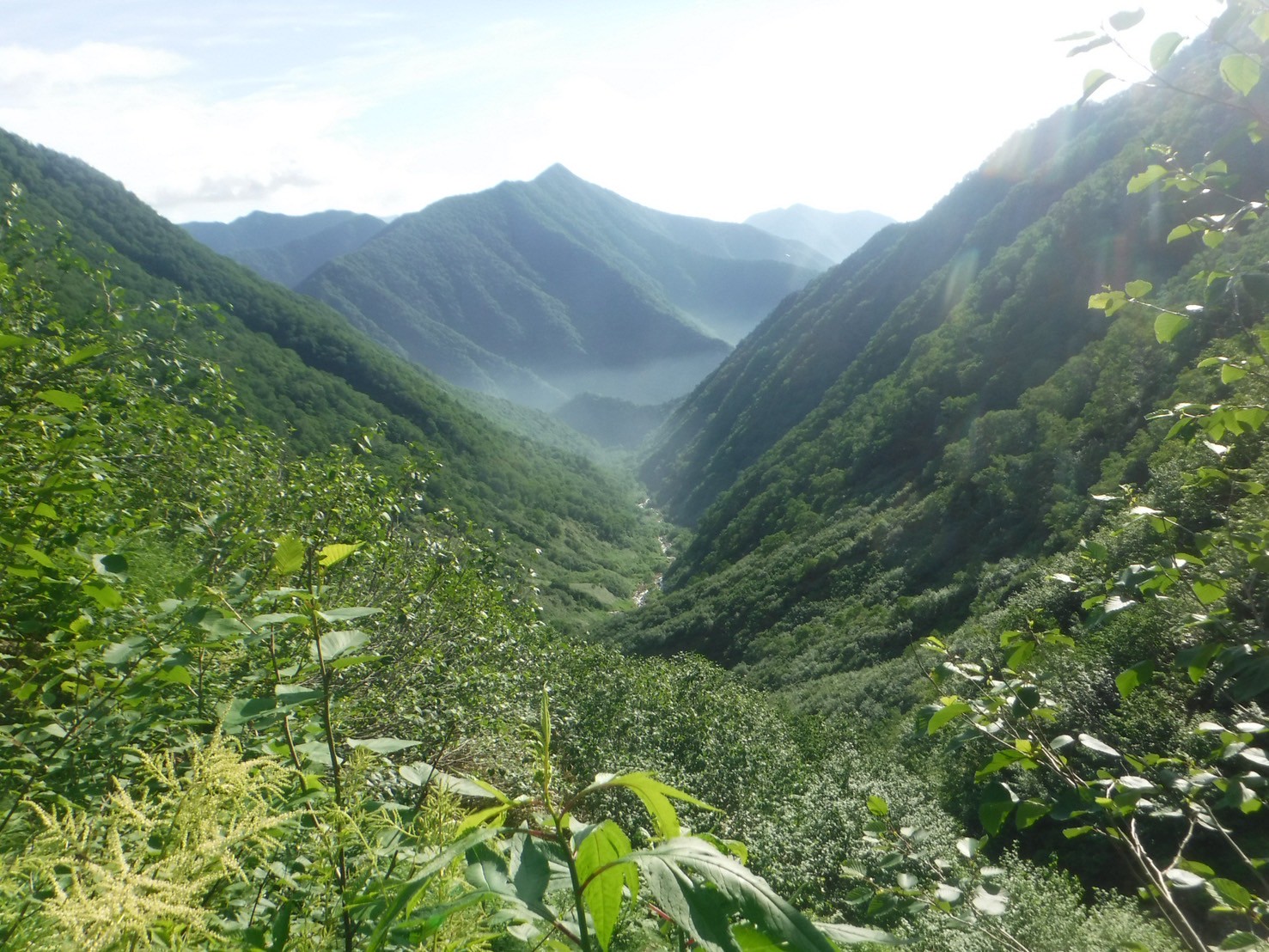 カムイエクウチカウシ山 - 画像 (7)