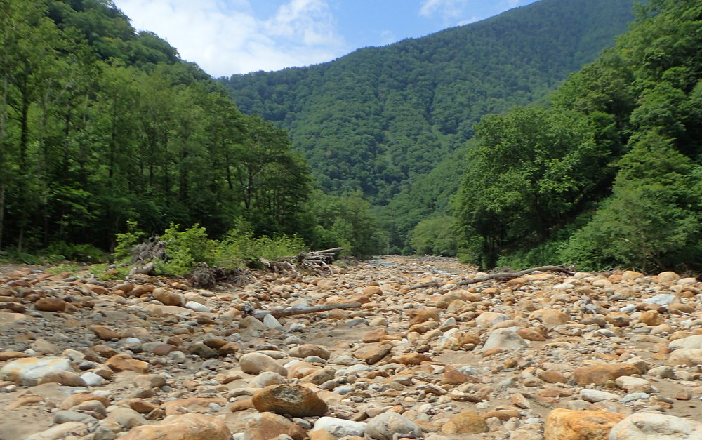 カムイエクウチカウシ山 - 画像 (6)