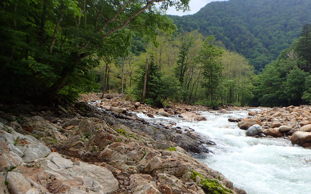 カムイエクウチカウシ山 - 画像 (3)