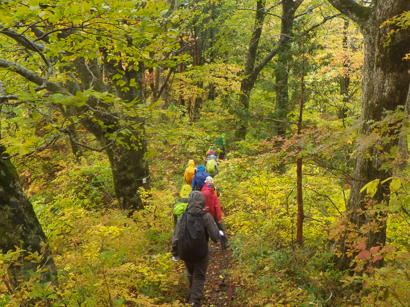五葉山と姫神山 - 画像 (2)