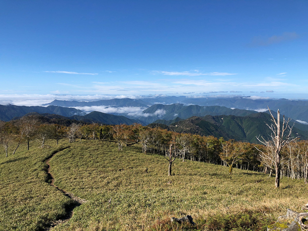 竜門岳・伯母子岳・釈迦岳と護摩壇山〜龍神岳縦走