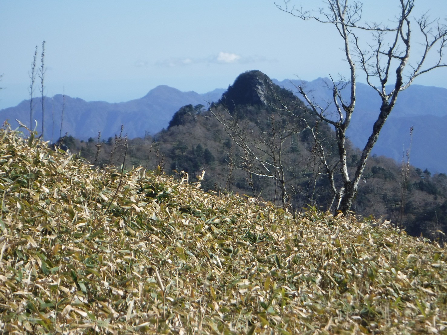 竜門岳・伯母子岳・釈迦岳と護摩壇山〜龍神岳縦走 - 画像 (3)