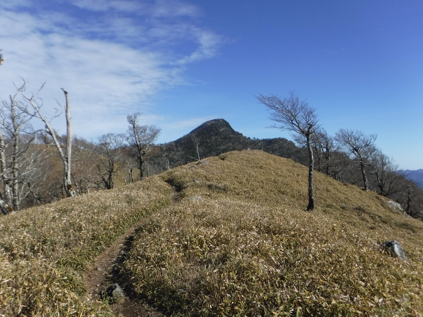 竜門岳・伯母子岳・釈迦岳と護摩壇山〜龍神岳縦走 - 画像 (6)